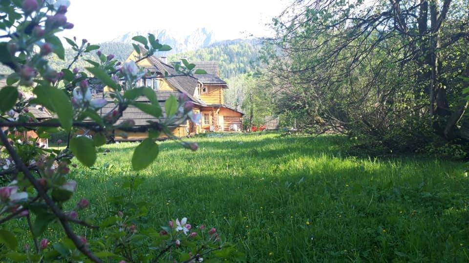 Kwatery Prywatne-Romanowka Zakopane Ngoại thất bức ảnh