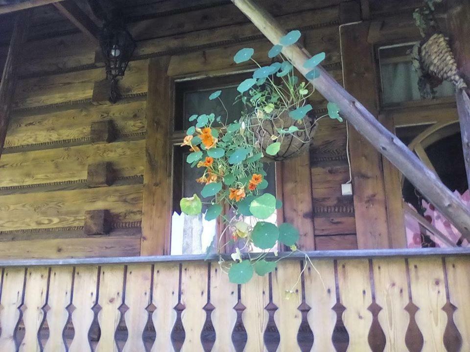Kwatery Prywatne-Romanowka Zakopane Ngoại thất bức ảnh