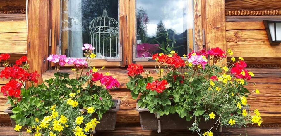 Kwatery Prywatne-Romanowka Zakopane Ngoại thất bức ảnh